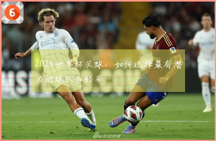 2026世界杯买球,如何选择最有潜力的球队和赔率