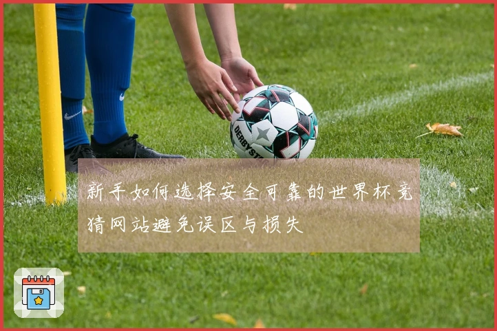 新手如何选择安全可靠的世界杯竞猜网站避免误区与损失