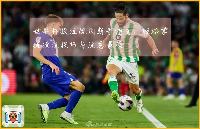 世界杯投注规则新手指南，轻松掌握投注技巧与注意事项