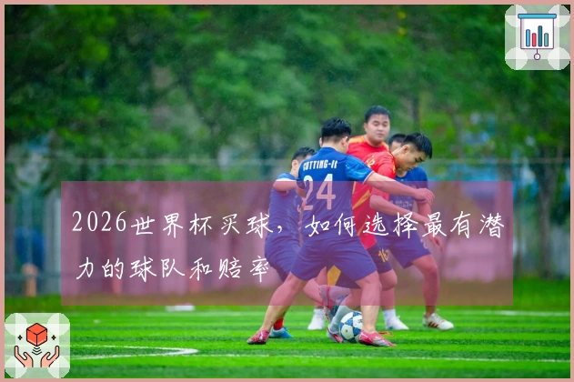 2026世界杯买球，如何选择最有潜力的球队和赔率